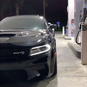 Meet your Posher, ʙʀᴇᴀᴅᴡɪɴɴᴇʀ